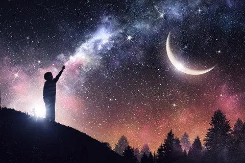 Bosque bajo una lluvia de estrellas