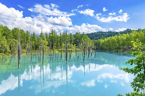 Blauwe vijver, Hokkaido