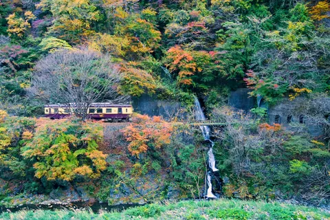 Gorges de Watarase, Gunma