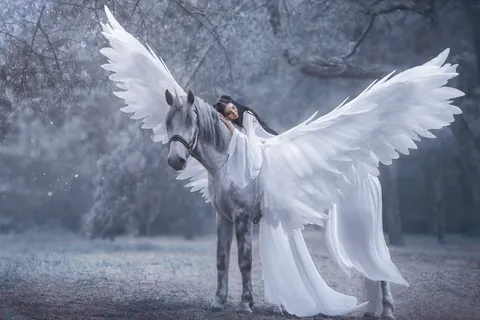 El sueño del unicornio blanco
