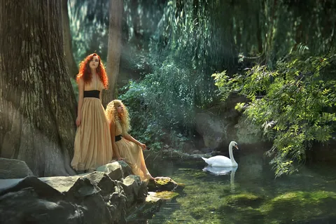 Estanque del bosque con un cisne