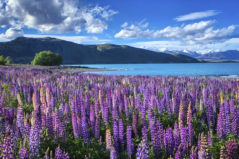 Lago Tekapo, Nueva Zelanda