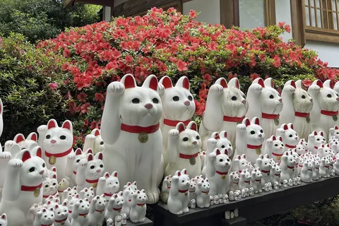 招き猫