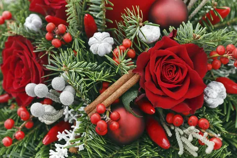 赤いバラのクリスマスアレンジ