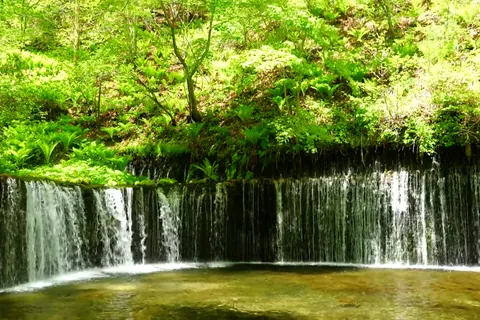 新緑の中の滝