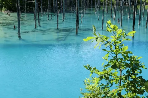 青い池